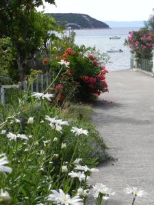 Apartments by the sea Kampor, Rab - 18268