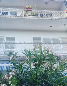 Apartments and rooms by the sea Brela, Makarska - 18413 