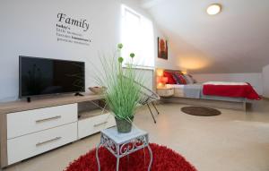 Luxury villa with a swimming pool Novigrad - 18339