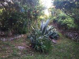 Apartments with a parking space Novalja, Pag - 18444
