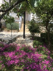 Apartments with a parking space Starigrad, Paklenica - 18492