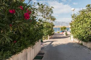 Apartments by the sea Vir - 18516