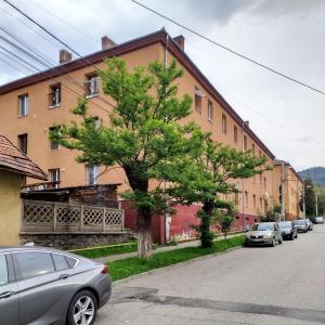 Apartament Camelia