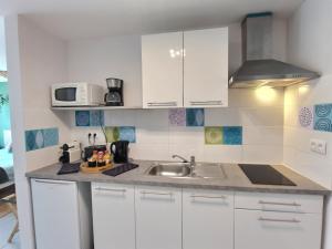 LE RIVIERA - Roissy CDG - Parc Astérix - Paris