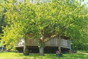 Chalets Chalet cocooning pleine nature : photos des chambres