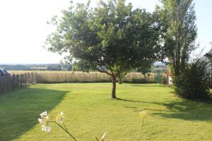 Maisons de vacances La colline aux ecureuils : photos des chambres