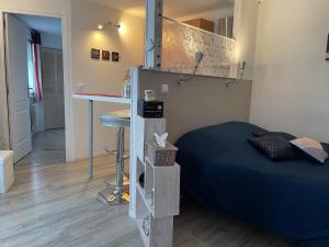 Appartements Studio rez-de-chaussee, a Lesquin/Lille aeroport : photos des chambres