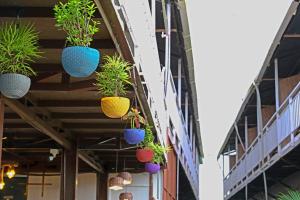 Vedana Retreat Arambol