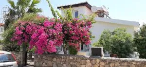 Villa bougainvillea with privite pool - Larnaka