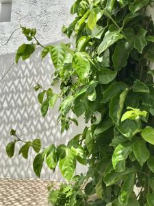 La Casa Móvil. Casa de Artistas