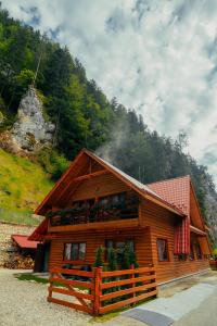 Casa Cheile Dâmbovicioarei - Cabana 2