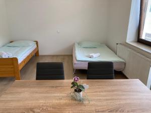 Apartment Vrtacnik 