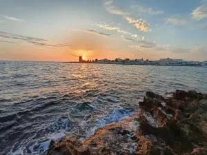 Litoralis - Torre Colimena