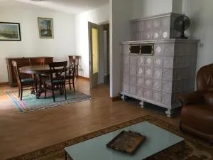 Les Hibiscus - Andolsheim