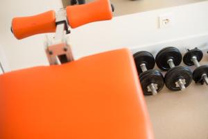 Double Room with Extra Bed and private bathroom room in Hotel Boreal Viento Norte