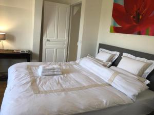 Appartements Napoleon Chateau Luxuryapartment for 18 guests with Pool near Paris! : photos des chambres