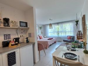 LAMAZONIE - ROISSY CDG - Parc Astérix - Paris