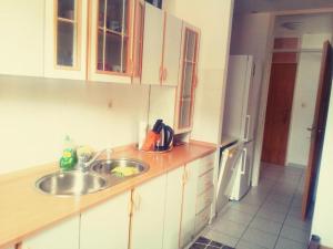 Apartments with WiFi Sibenik - 18960