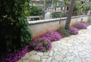 Apartments by the sea Vir - 19217