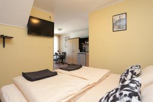 Apartments by the sea Trogir - 18953