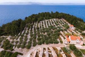 Seaside house for families with children Cove Zanavje, Korcula - 19224