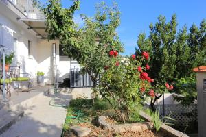 Holiday house with a swimming pool Omis - 19020