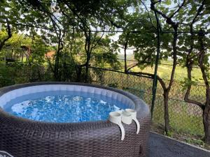 Family friendly house with a swimming pool Donja Stubica, Zagorje - 19236 