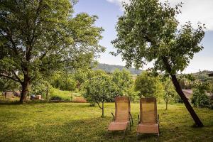 Apartments with a parking space Slunj, Plitvice - 19237 