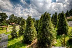 Orgánico Hotel Boutique - Cuarto Dinamo