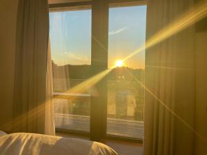 Habitación deluxe rodeada de viñedos