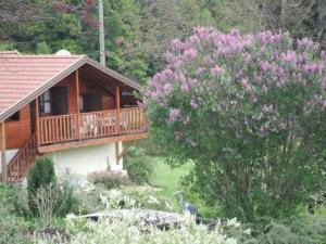Maisons de vacances Gite Le Val-d'Ajol, 2 pieces, 4 personnes - FR-1-589-194 : photos des chambres