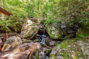 Waterfall Cabin