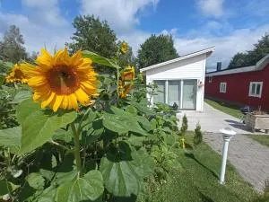 Attefallshus säng 160 bäddsoffa 160 - Gemla