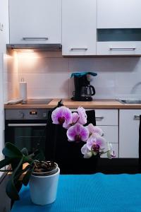 Apartments with parking space Vodice - 19340