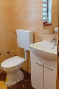 Apartments with parking space Fuzine, Gorski kotar - 19537