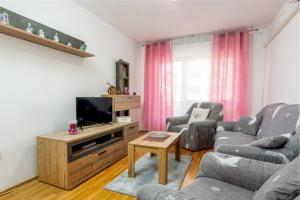 Apartments with WiFi Pula 19493