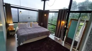 Canto dos Pássaros - Melado