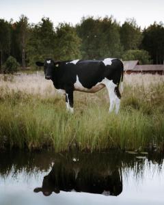 Off the grid in the abandoned village of Ejheden