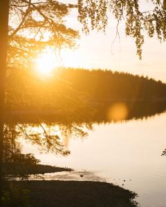 Off the grid in the abandoned village of Ejheden