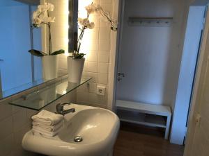 studio b - Sunny City Business Apartment with roof-top terrace for 2-4 guests