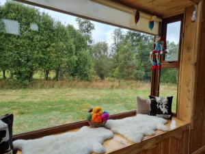 PARCELA DE AGRADO CON PISCINA LAGO RANCO todas las instalaciones con uso exclusivo capacidad 20 personas