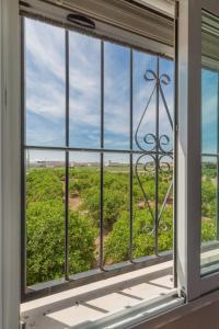 Casita entre naranjas