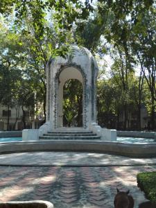 Charming sunny bedroom overlooking beautiful Amsterdam Avenue in best Condesa area