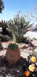 Eirini Apts On the beach