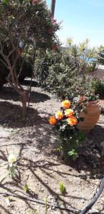 Eirini Apts On the beach