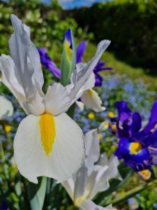 Gîte de lAlliance 6 à 10 personnes en bord de mer