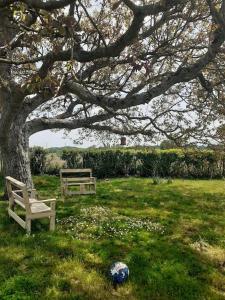 Gîte de lAlliance 6 à 10 personnes en bord de mer