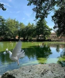 Gîte à la ferme Chant'alouette - Reignac