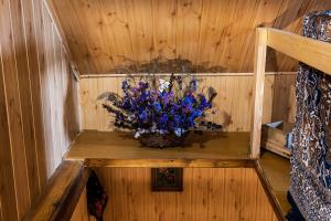 Agroturystyka u Wojtka