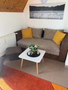 Chestnut Hill- Zalakaros